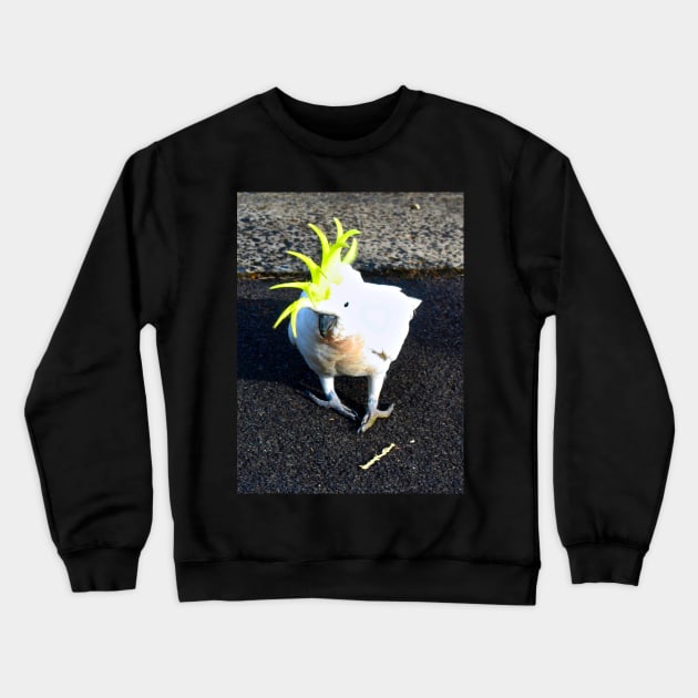 The Sulphur Crested Cockatoo ! Crewneck Sweatshirt by Mickangelhere1